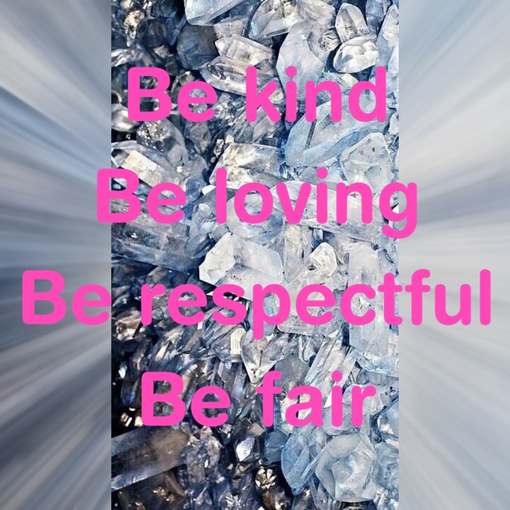 Meet your Posher, ZEBIB AND ZARA🐾🐾 - Picture 5 of 7